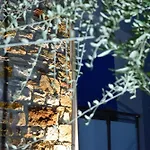 Appart hôtel Dioscuri Deluxe Chrysi Ammoudia