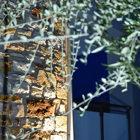 Apartahotel Dioscuri Deluxe Chrysi Ammoudia