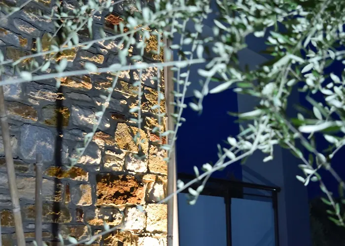 Hotel de apartamente Dioscuri Deluxe Chrysi Ammoudia